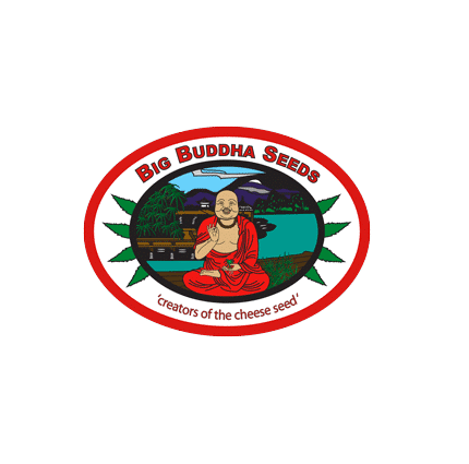 big buddha seeds logo