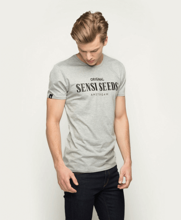 original-sports-t-shirt-heather-grey-xl