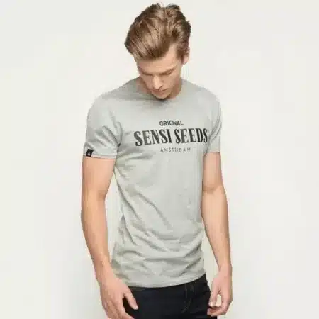 Original Sports T-Shirt Heather Grey