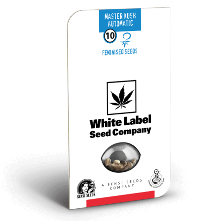 Master Kush Automatic Seeds white label
