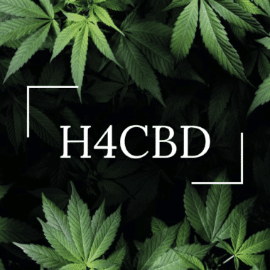H4CBD, ένα ισχυρό κανναβινοειδές