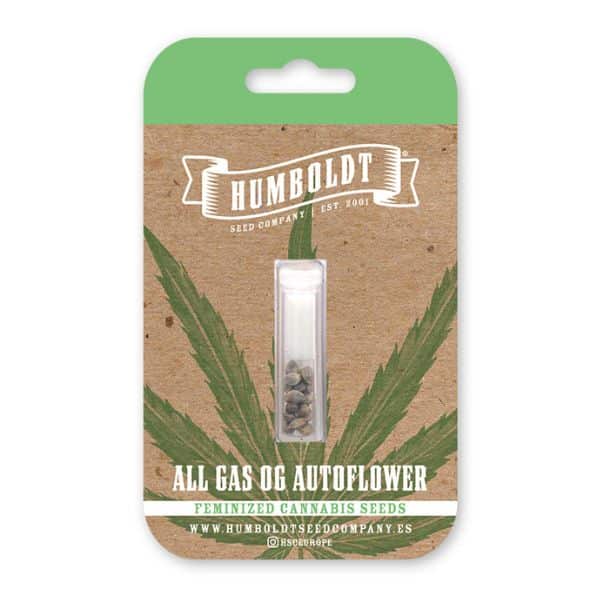 all-gas-og-auto All Gas Og Autoflower