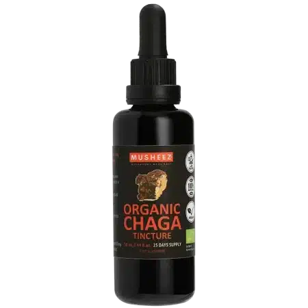 Chaga Organic Tincture - 15:1 - (50ml)