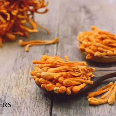 The power of Cordyceps: the ultimate energy-boosting mushroom