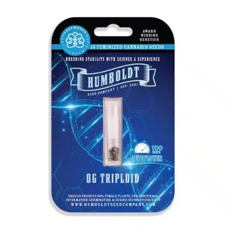 OG Triploid Auto από Humboldt Seed Company – Αυτόματο τριπλοειδές υβρίδιο με υψηλή απόδοση και γεύση γης
