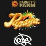 papaya-frosting-barneys
