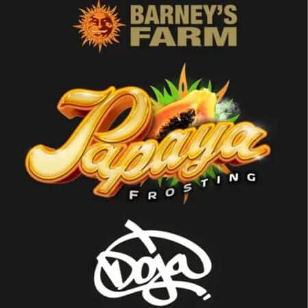 Papaya Frosting Barney's Farm