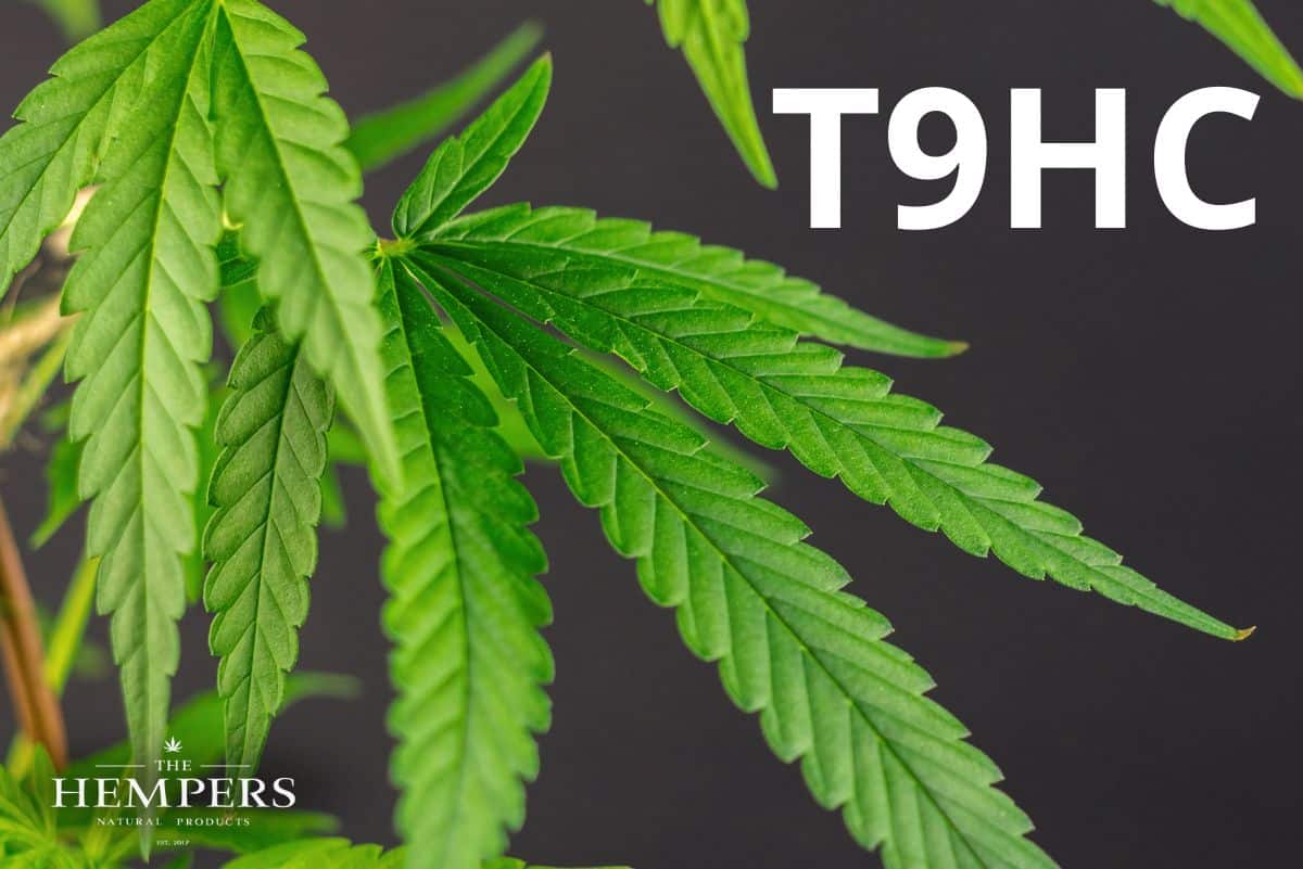 What is T9HC? The new cannabis experience and how it works