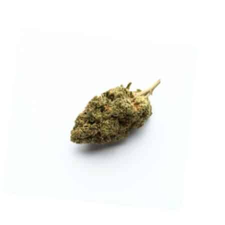 E8High Ανθοί Κάνναβης Bubblegum