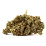 blueberry-diesel-bulk