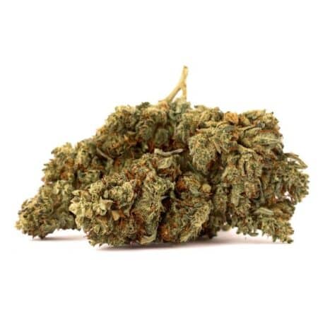 T9HC Ανθοί Κάνναβης Blueberry Diesel Bulk