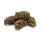 northern-lights-bulk
